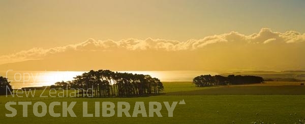 Palliser Bay;Wairarapa;rocky shoreline;coast road;lighthouse;seals;bachs;holiday homes;blue sky;blue sea;bluffs;cliffs;Lake Ferry;Macrocarpa trees;golden light;sheep;Rimutaka Range;cumulus clouds