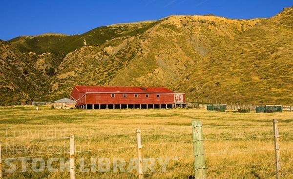 Palliser Bay;Wairarapa;rocky shoreline;coast road;lighthouse;seals;bachs;holiday homes;blue sky;blue sea;bluffs;cliffs;Red Sheep Shed;sheep paddocks;hill country