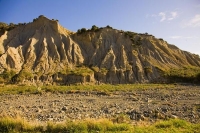 Palliser_Bay;Wairarapa;rocky_shoreline;coast_road;lighthouse;seals;bachs;holiday