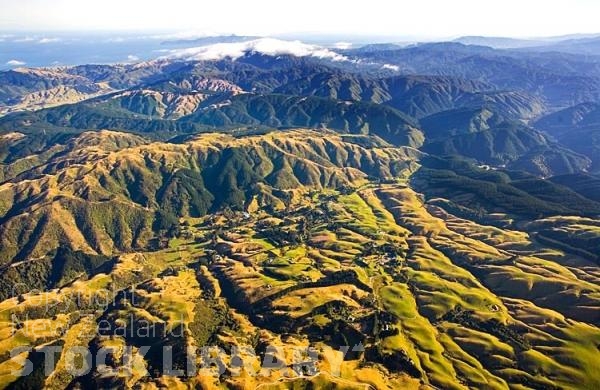 Aerial;Upper Hutt;Hutt Valley;native forest;sheep;sheep shearing;Tararua Ranges;agriculture;tramping tracks;green fields;New Zealand photography