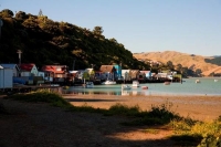 Porirua;Plimmerton;Paremata;Wellington;native_forest;tramping_tracks;Station;Rai