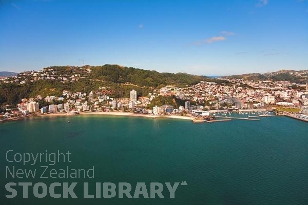 Aerial;Wellington;Beehive;parliament;down town;highrise;airport;bays;marina;docks;harbour;ferries;port;clear water;cranes;cafes;restaurants;motorway;traffic;boats;planes;aircraft;helicopters;caketin;rugby stadium;railwat station;rail lines;logs;piles of logs;logging;Oriental Bay