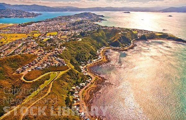 Aerial;Wellington;Beehive;parliament;down town;highrise;airport;bays;marina;docks;harbour;ferries;port;clear water;cranes;cafes;restaurants;motorway;traffic;boats;planes;aircraft;helicopters;caketin;rugby stadium;railwat station;rail lines;Breaker Bay