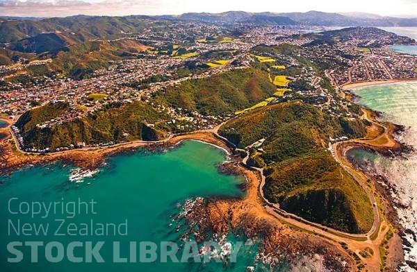 Aerial;Wellington;Beehive;parliament;down town;highrise;airport;bays;marina;docks;harbour;ferries;port;clear water;cranes;cafes;restaurants;motorway;traffic;boats;planes;aircraft;helicopters;caketin;rugby stadium;railwat station;rail lines