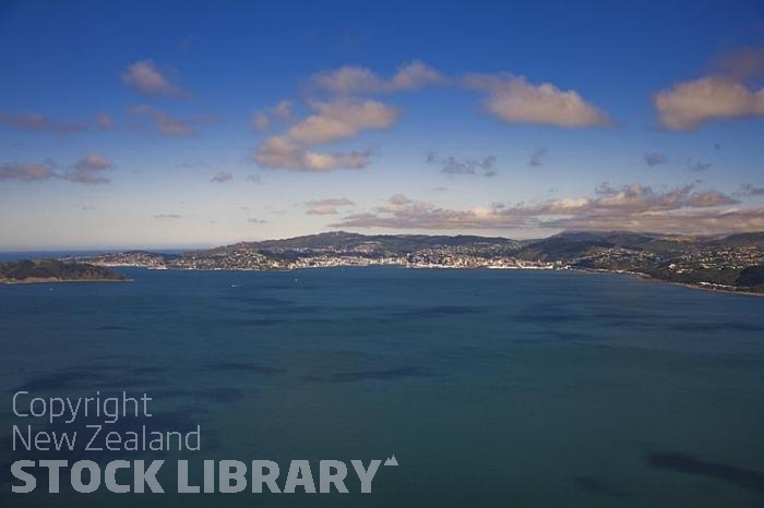 Aerial-Wellington-city