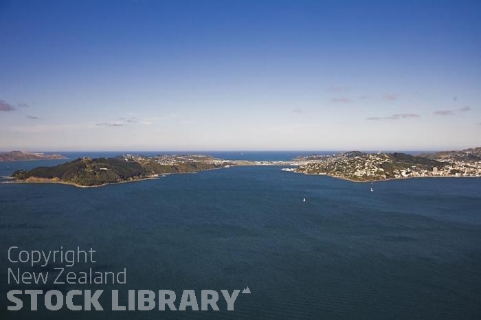 Aerial-Wellington-Airport-Evans Bay