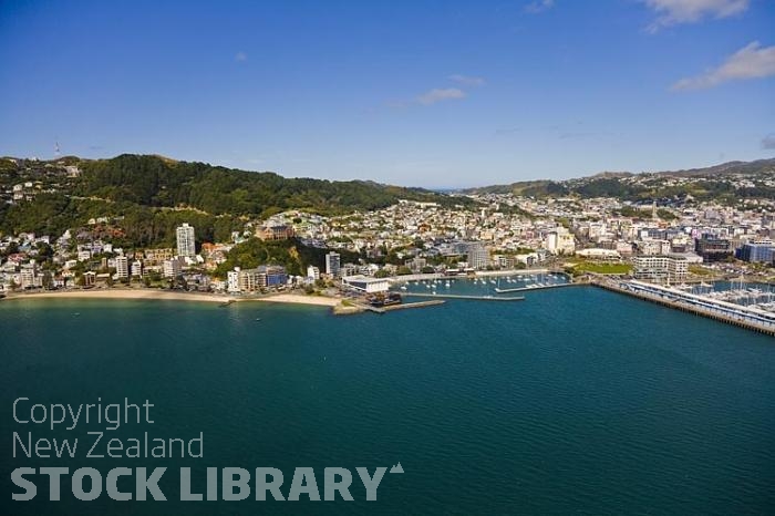 Aerial-Wellington-Oriental Bay;marina