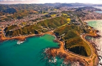 Aerial;Wellington;Beehive;parliament;down_town;highrise;airport;bays;marina;dock