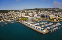 Aerial_Wellington_Oriental_Bay_yacht_Marina;Te_Papa