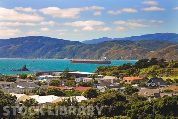 Wellington;Beehive;parliament;down town;highrise;airport;bays;marina;docks;harbour;ferries;port;clear water;cranes;cafes;restaurants;motorway;traffic;boats;planes;aircraft;helicopters;caketin;rugby stadium;railwat station;rail lines;logs;piles of logs;logging;Ship;Seatoun;suburb