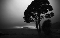 Jacksons_Bay;West_Coast;mountains;valleys;river;Tasman_Sea;Rata_Tree;Jackson_Bay