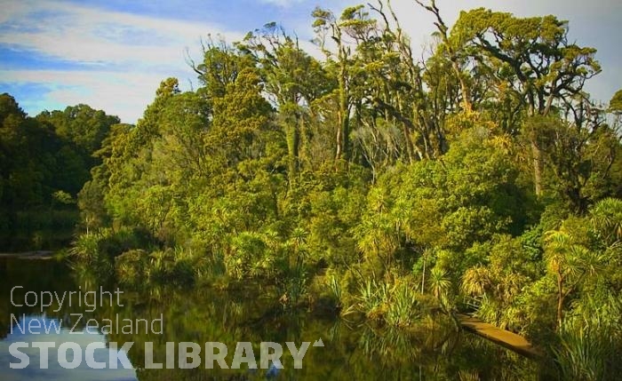 Haast to Hokitika;West Coast;mountains;valleys;river;Tasman Sea;State highway 6;ship creek estuary walk