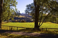 Sheep_At_Sherwood_Lodge;Hanmer_Springs;green_fields;paddocks;brown_hills;hills;m