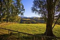 Mount_Lyford;Hanmer_Springs;green_fields;paddocks;brown_hills;hills;mountains;bl