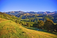 Hanmer_Springs;green_fields;paddocks;brown_hills;hills;mountains;blue_sky;Hanmer