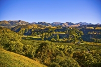 Mount_Lyford;Hanmer_Springs;green_fields;paddocks;brown_hills;hills;mountains;bl