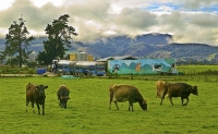 Murchison;Buller_Region;mountains;hills;rivers;Road;bush;native_forrest;state_hi