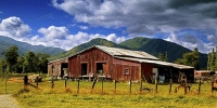 Murchison;Buller_Region;mountains;hills;rivers;Road;bush;native_forrest;state_hi