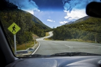 Arthurs_Pass_Route_Canterbury;mountains;hills;Lakes;Waimakariri_River;tussock_gr