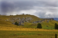 Arthurs_Pass_Route_Canterbury;mountains;hills;Lakes;tussock_grass;tussock;bush;n