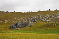 Arthurs_Pass_Route_Canterbury;mountains;hills;Lakes;tussock_grass;tussock;bush;n