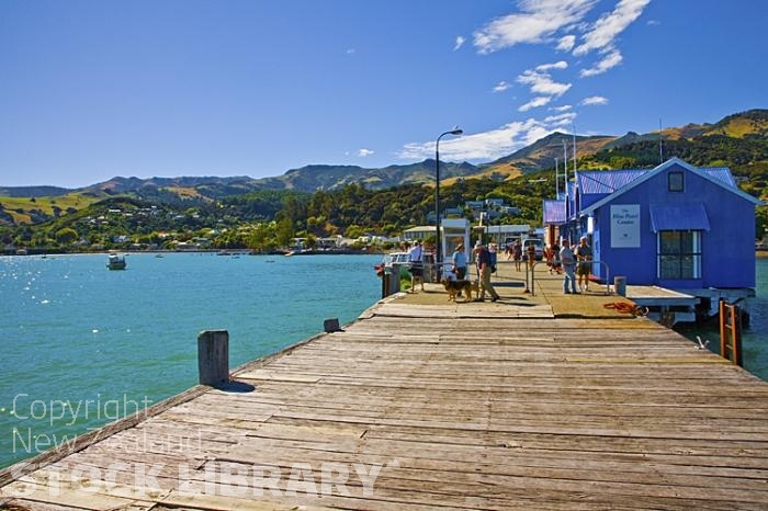 Banks Peninsula;Canterbury;Green Paddocks;green fields;bush;native;forrest;french settlement;french culture;harbour;Akaroa;Akaroa Harbour;Akaroa Wharf;tourists;dogs;moored boats;moorings