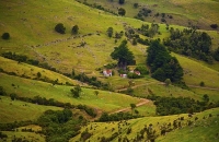 Banks_Peninsula;Canterbury;Green_Paddocks;green_fields;bush;native;forrest;frenc