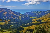 Banks_Peninsula;Canterbury;Green_Paddocks;green_fields;bush;native;forrest;frenc