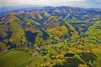 Banks_Peninsula;Canterbury;Green_Paddocks;green_fields;bush;native;forrest;frenc