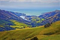 Banks_Peninsula;Canterbury;Green_Paddocks;green_fields;bush;native;forrest;frenc