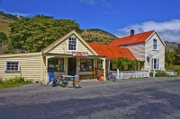 Banks_Peninsula;Canterbury;Green_Paddocks;green_fields;bush;native;forrest;frenc