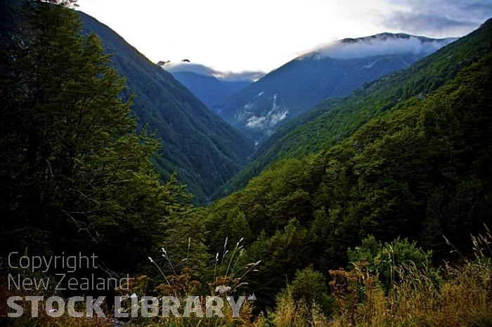 Lewis Pass Route;Buller;West Coast Canterbury;Hope River;Waiau river;Boyle river;Libretto Range;Lake Sumner forest Park;Poplars RangeHanmer Forest Park;State Highway 7;Freyberg Range;Lewis Pass scenic Reserve;mountains;bush;native forrest;valleys;steep valleys