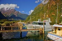 Milford_Sound;Fiordland;mountains;hills;rivers;Road;State_Highway_94;bush;native