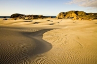 Farewell_Spit;Golden_Bay;Wharariki_Beach;hills;rivers;Road;bush;native_forrest;g