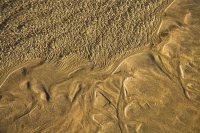 Farewell_Spit;Golden_Bay;Wharariki_Beach;hills;rivers;Road;bush;native_forrest;g