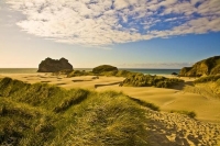 Farewell_Spit;Golden_Bay;Wharariki_Beach;hills;rivers;Road;bush;native_forrest;g