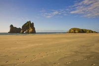 Farewell_Spit;Golden_Bay;Wharariki_Beach;hills;rivers;Road;bush;native_forrest;g