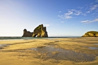 Farewell_Spit;Golden_Bay;Wharariki_Beach;hills;rivers;Road;bush;native_forrest;g