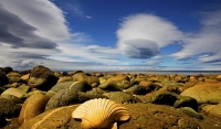 Golden_Bay_Coast;Golden_Bay;Milnthorpe_Beach;River;sandy_beaches;rocky_shoreline