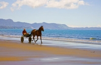 Golden_Bay_Coast;Golden_Bay;Patons_Rock_Beach;River;sandy_beaches;rocky_shorelin