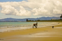 Golden_Bay_Coast;Golden_Bay;Patons_Rock_Beach;River;sandy_beaches;rocky_shorelin