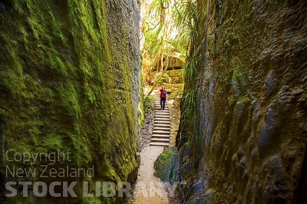 Takaka;Golden Bay;Clifton Grove Reserve;bluffs;cliffs;Palns;limestone;limestone outcrops;viewing;viewing platform;hills;rivers;Road;bush;native forrest;green fields;green paddocks;lakes;blue sky;cattle;agriculture;dairy farming;scenic reserve;Penny;limestone;gully