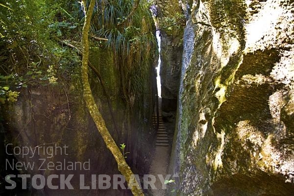 Takaka;Golden Bay;Clifton Grove Reserve;bluffs;cliffs;Palns;limestone;limestone outcrops;viewing;viewing platform;hills;rivers;Road;bush;native forrest;green fields;green paddocks;lakes;blue sky;cattle;agriculture;dairy farming;scenic reserve;Gully;viewing;platform;viewing platform