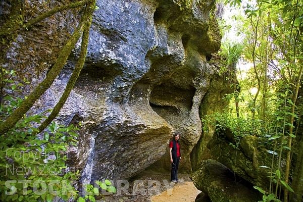 Takaka;Golden Bay;Clifton Grove Reserve;bluffs;cliffs;Palns;limestone;limestone outcrops;viewing;viewing platform;hills;rivers;Road;bush;native forrest;green fields;green paddocks;lakes;blue sky;cattle;agriculture;dairy farming;scenic reserve;faces in the rock;faces;rock