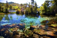 Takaka;Golden_Bay;hills;rivers;Road;bush;native_forrest;green_fields;green_paddo