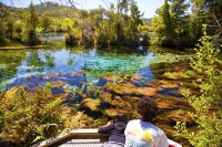 Takaka;Golden_Bay;hills;rivers;Road;bush;native_forrest;green_fields;green_paddo