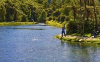 Takaka;Golden_Bay;Anatoki_Salmon_Farm;hills;rivers;Road;bush;native_forrest;gree