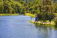 Takaka;Golden_Bay;Anatoki_Salmon_Farm;hills;rivers;Road;bush;native_forrest;gree