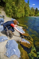 Takaka;Golden_Bay;Bencarri_Nature_Park;hills;rivers;Road;bush;native_forrest;gre