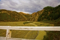 Inland_Kaikoura_Road;Kaikoura;bush;native_forest;Kahutara_River;seaward_Kaikoura